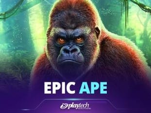 Epic Ape screenshot